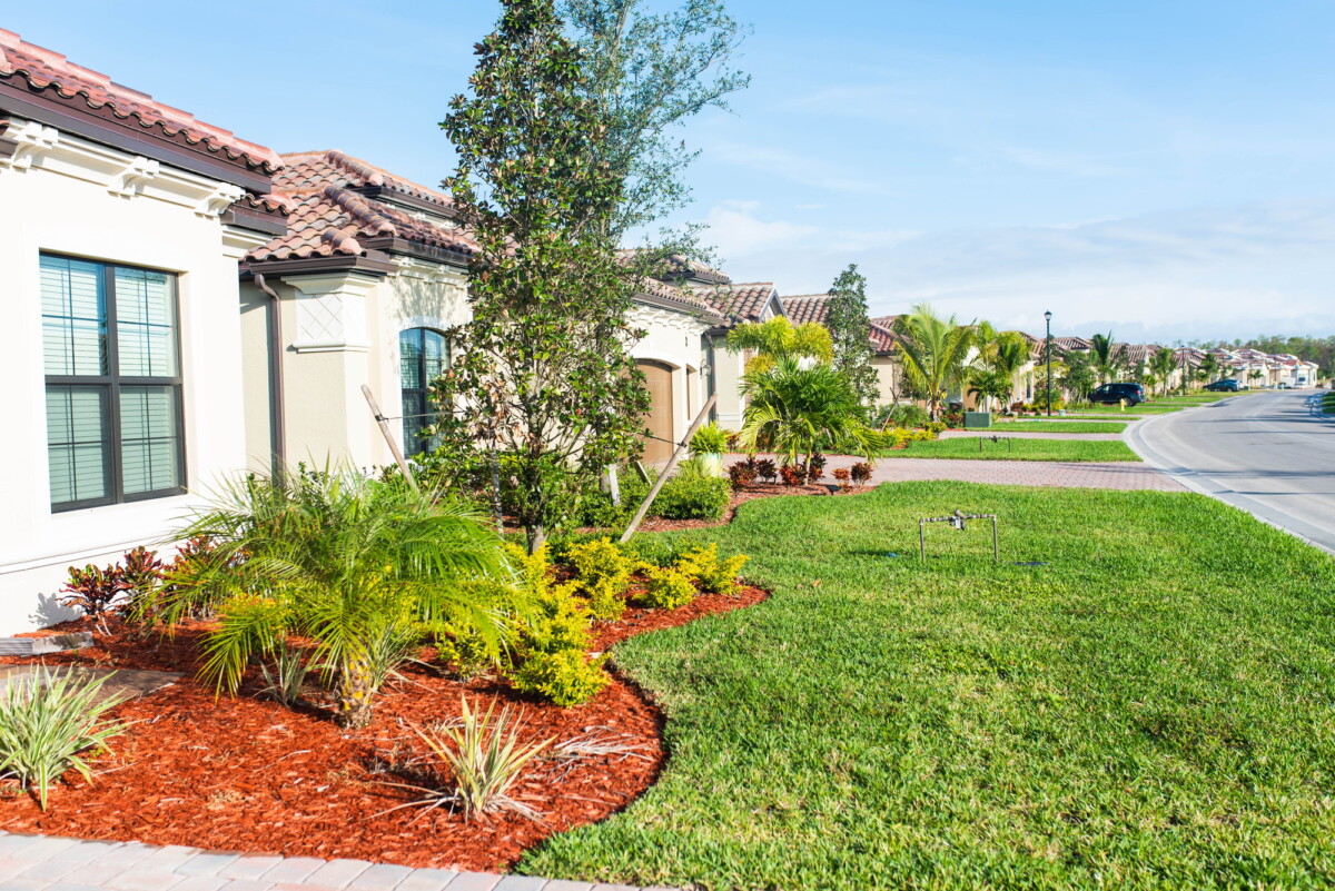 agriculture degree florida community college online