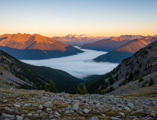 How to Find Reputable Classes for Nursing Specialists